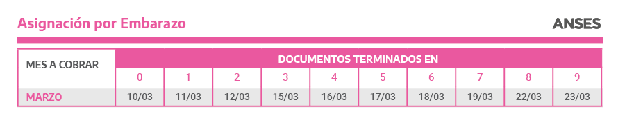 asignación por embarazo