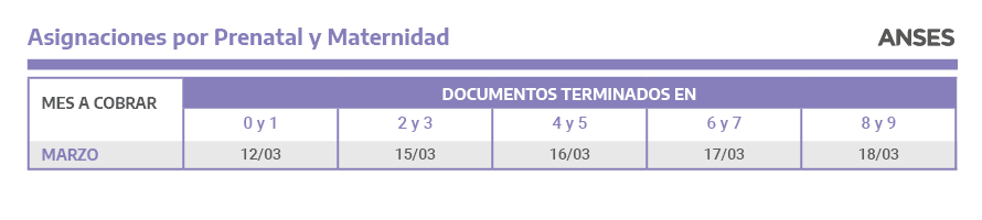 asignaciones por prenatal y maternidad