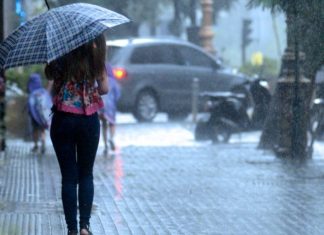 lluvia amba pronostico