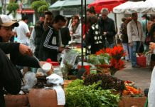 Llega a Tigre un programa para comprar alimentos con descuentos Mercado Tigre