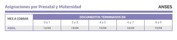 asignaciones por prenatal y maternidad