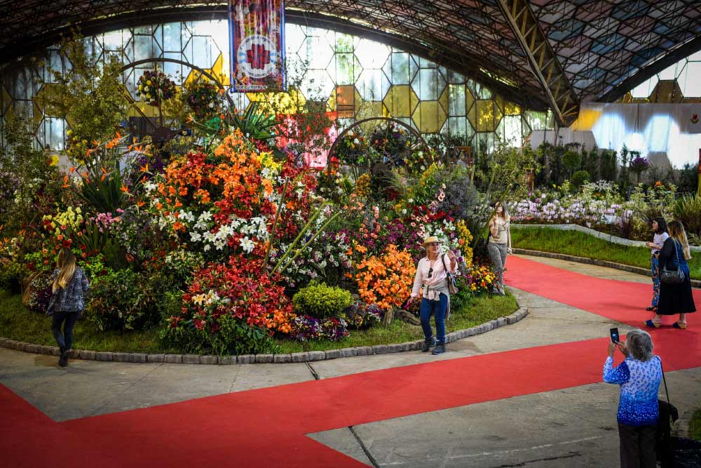 fiesta nacional flor predio 2