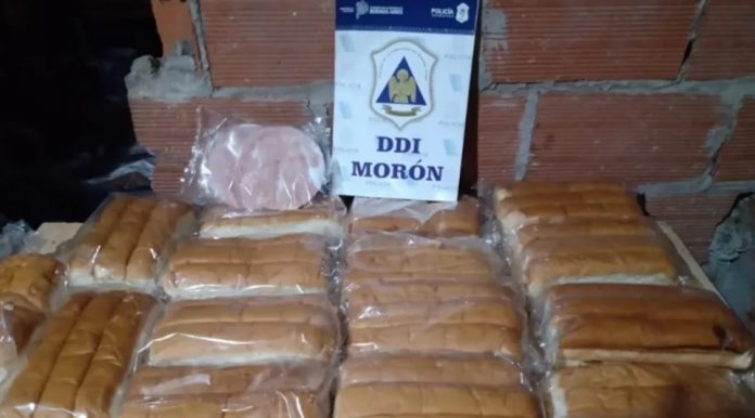 banda de hamburguesas y los panchos