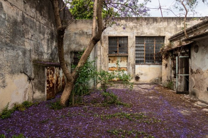 casa maria elena walsh moron 1