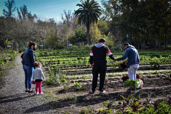 huerta-agroecologica-maschwitz