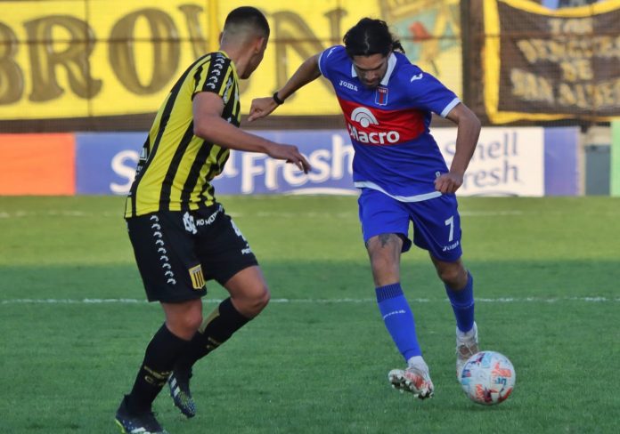 tigre almirante magnin 1107021