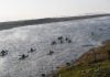 activistas travesia en kayak ley humedales