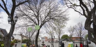 renovacion plaza 3