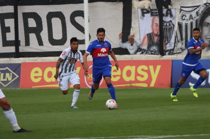 tigre estudiantes