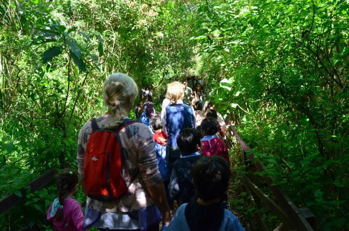 reserva ecológica i