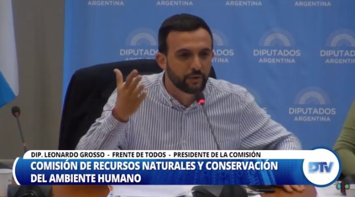 comision diputados ley envases grosso