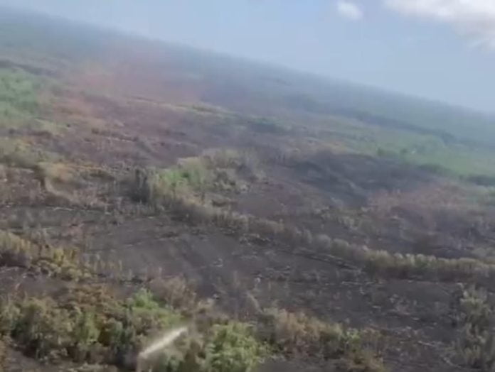 incendio delta vista aerea