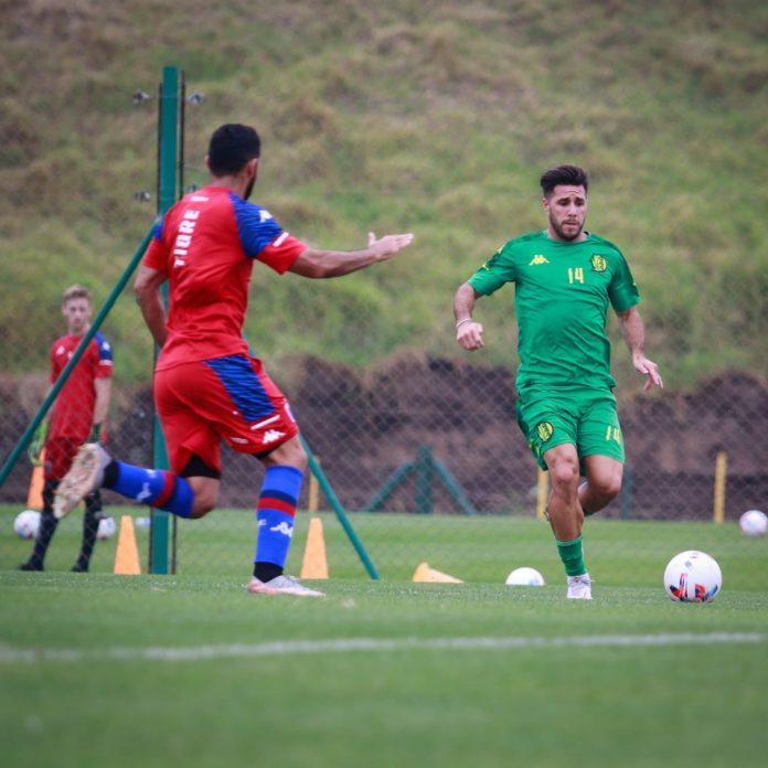 tigre aldosivi