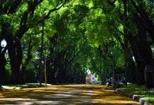 Ciudad Jardín: el Municipio enviará un proyecto para limitar a 12 metros la altura de las construcciones