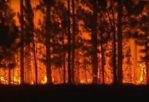 incendios en corrientes ultimas noticias y pronostico de lluvias fuego ibera hectareas 1645348554647 768
