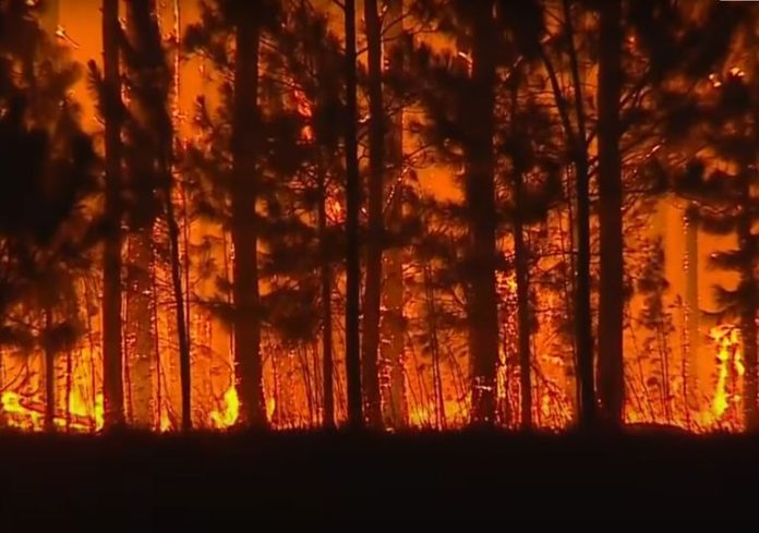 incendios en corrientes ultimas noticias y pronostico de lluvias fuego ibera hectareas 1645348554647 768