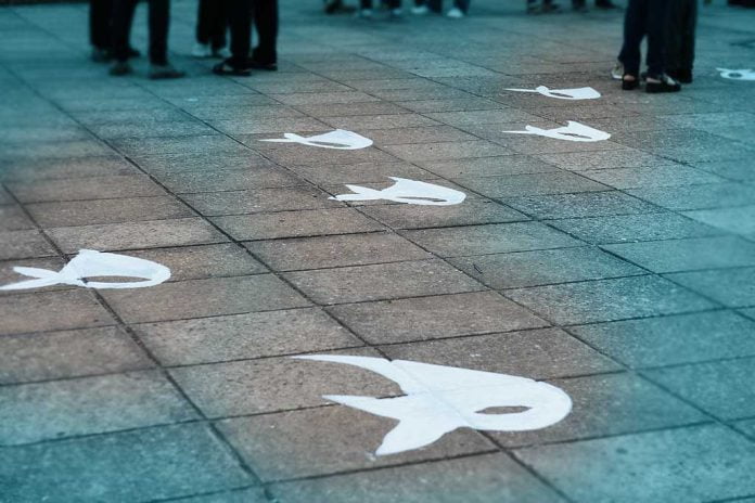 homenaje dia de la memoria verdad y justicia