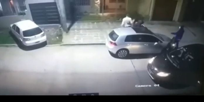 robo perro itu