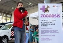 zoonosis san martin castracion vacunacion mascotas perros gatos