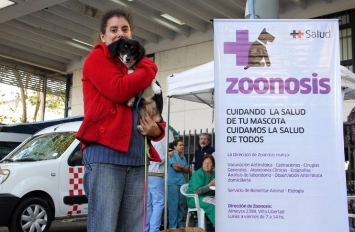 zoonosis san martin castracion vacunacion mascotas perros gatos