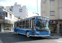 colectivo 343