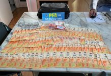 estafa ciberdelito tarjetas credito banda allanamiento nordelta