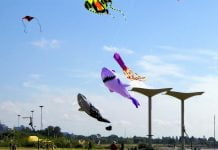Agenda de Vacaciones de Invierno en Zona Norte: lunes 20 de julio barrileteada