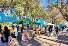 feria mercado