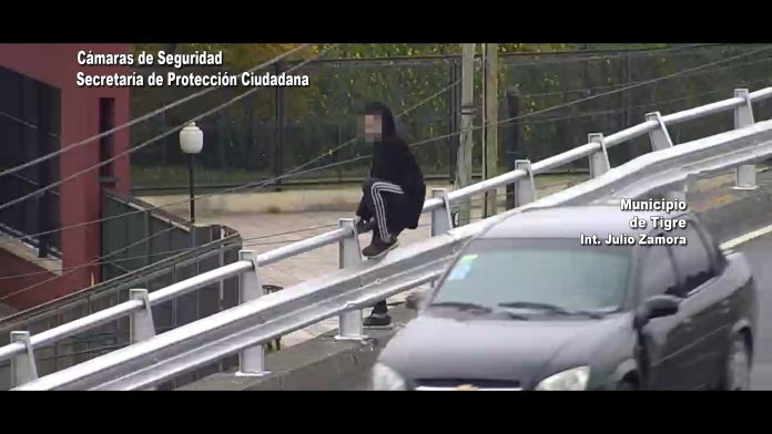 intento suicidio tigre