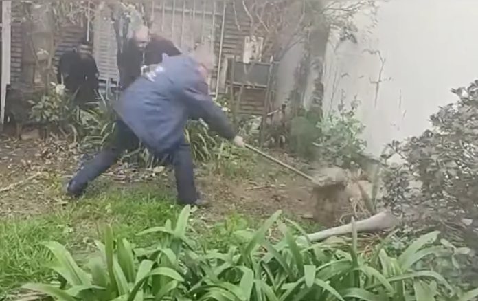 zorro zorro