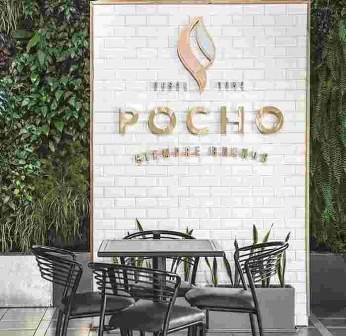 helados pocho