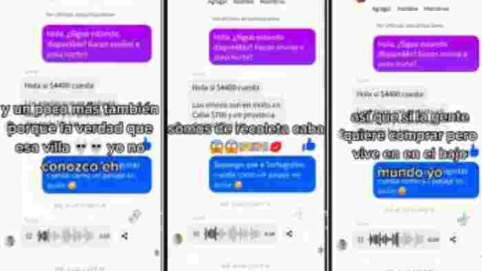 chat tortuguitas