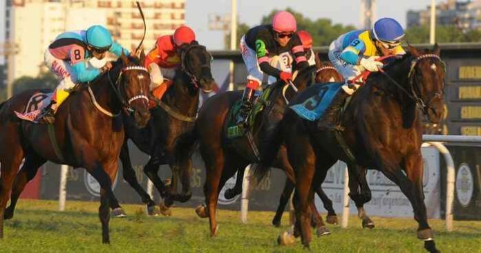 gran premio carlos pellegrini