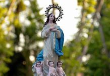 Día de la Virgen en Tigre