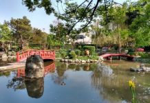 Tres paseos al aire libre para hacer esta primavera en la zona norte jardin japones escobar 3