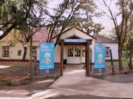 museo del juguete