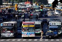 colectivos circulacion transporte publico