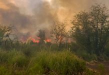 incendio apargon pilar campo 2023