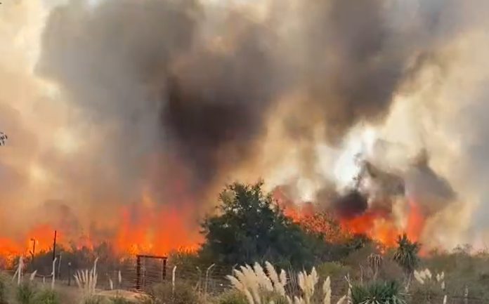 incendio pilar