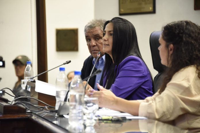 noelia correa apertura hcd malvinas 2023