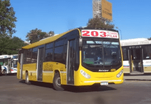 Quita de subsidios: más de 400 Líneas del AMBA sin descuentos en la Red SUBE colectivo de la línea 203