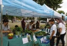 La feria Mercados Bonaerenses estará esta semana en Pilar mercados bonaerenses 4
