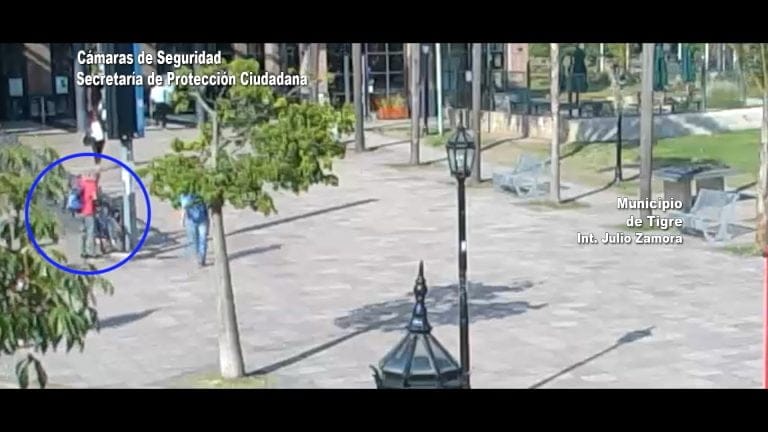 Video: se robó una bicicleta en la estación de Tigre y terminó detenido