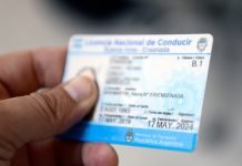 Provincia: extendieron el plazo para circular con el trámite de renovación y licencia de conducir digital