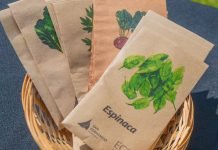 Huerta en Casa: San Fernando entrega semillas de la temporada otoño-invierno