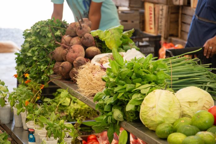 frutas-verduras-pueblo-32-2024
