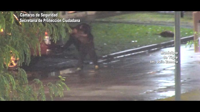 robo-patentes-tigre-camara