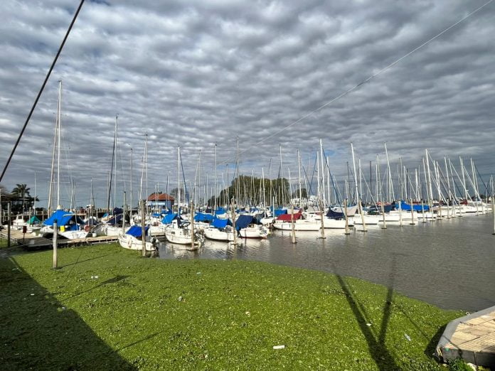 Puerto Olivos