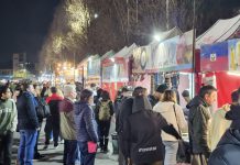 Feria de colectividades en Escobar: comidas del mundo, shows para chicos y música en vivo