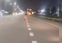 Una niña fue encontrada pedaleando sola en plena Panamericana